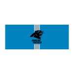Carolina Panthers Chrome USB Charging Lamp with Shade Insert