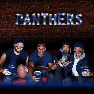 Carolina Panthers Lighted Recycled Metal Wordmark Logo Sign