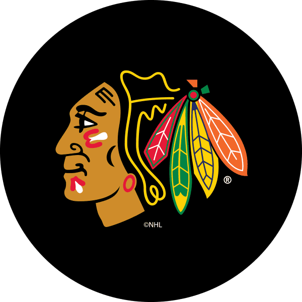 Chicago Blackhawks Chrome Bar Stool 2