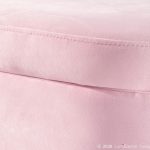 Chloe Blush Velvet Gold Metal Contemporary Storage Bench 13 Chloe Blush Velvet Gold Metal Contemporary Storage Bench