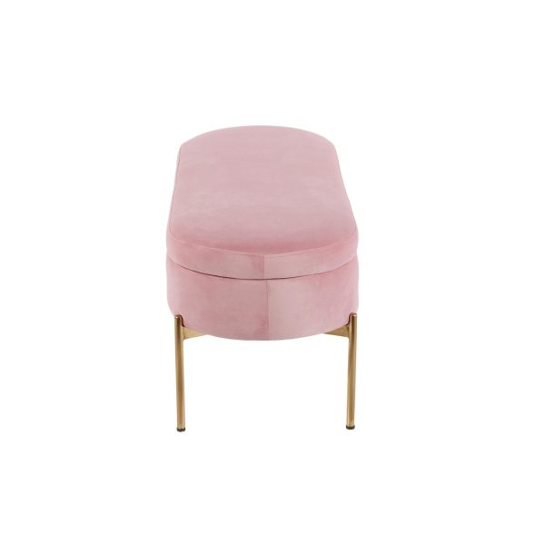 Chloe Blush Velvet Gold Metal Contemporary Storage Bench 6