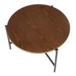 Chloe Contemporary Black Metal and Walnut Coffee Table