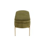 Chloe Green Velvet Gold Metal Glam Storage Bench 21 Chloe Green Velvet Gold Metal Glam Storage Bench