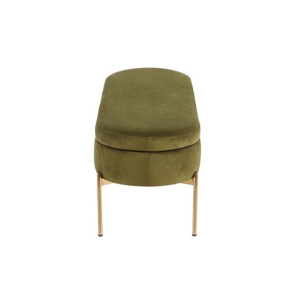 Chloe Green Velvet Gold Metal Glam Storage Bench 7