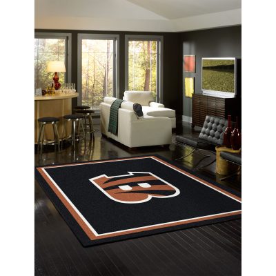 Cincinnati Bengals 8x11 Spirit Area Rug NFL Officially Licensed