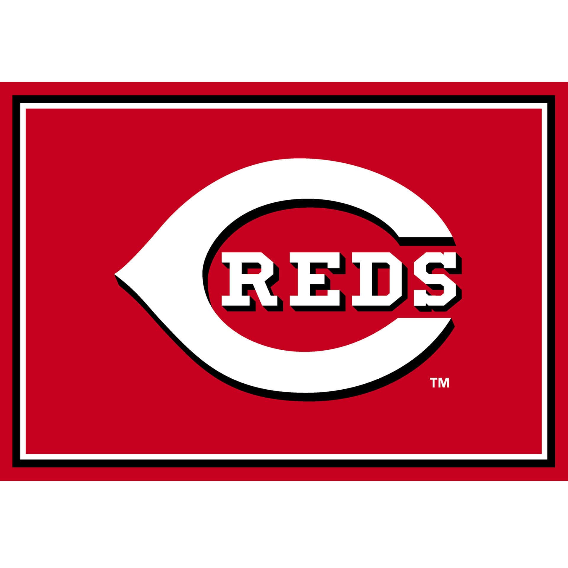 Cincinnati Reds 3x4 Spirit Area Rug 2 Cincinnati Reds 3x4 Spirit Area Rug - Image 2