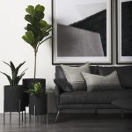 Claypoole (Set of 3) Black Plant Stands