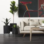 Claypoole (Set of 3) Black Plant Stands