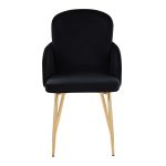 Dahlia Contemporary Black Velvet Dining Chairs Gold Legs (Set of 2) (Set of 2) 17 Dahlia Contemporary Black Velvet Dining Chairs Gold Legs (Set of 2) (Set of 2)