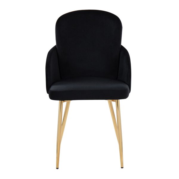 Dahlia Contemporary Black Velvet Dining Chairs Gold Legs Set of 2 Set of 2 6