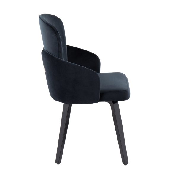 Dahlia Contemporary Black Velvet Dining Chairs with Gold Accents Set of 2 Set of 2 2