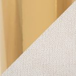 Dahlia Gold Cream Contemporary Dining Chairs (Set of 2)