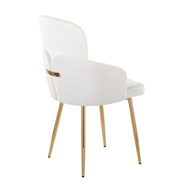Dahlia Gold Cream Velvet Contemporary Dining Chairs Set of 2 4