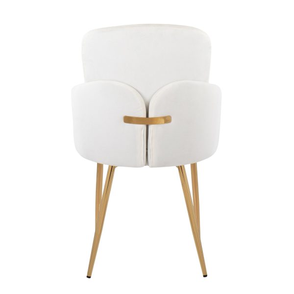 Dahlia Gold Cream Velvet Contemporary Dining Chairs Set of 2 5