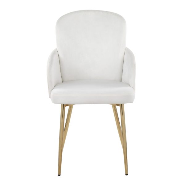 Dahlia Gold Cream Velvet Contemporary Dining Chairs Set of 2 6