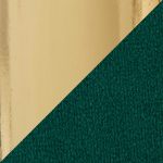 Dahlia Gold Green Velvet Contemporary Dining Chairs (Set of 2)