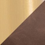 Daniella Gold Espresso Contemporary Dining Chairs (Set of 2)