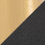 Daniella Gold and Black Contemporary Dining Chairs (Set of 2)