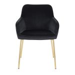 Daniella Gold and Black Velvet Contemporary Dining Chairs (Set of 2) 16 Daniella Gold and Black Velvet Contemporary Dining Chairs (Set of 2)