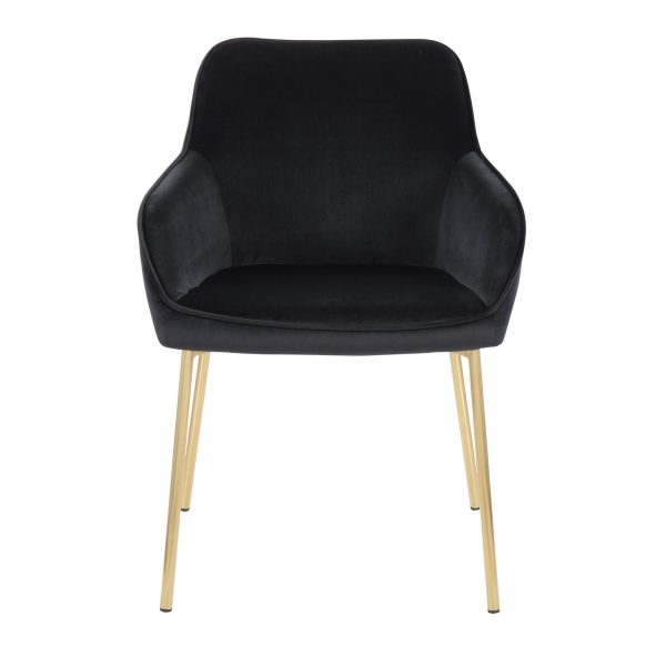 Daniella Gold and Black Velvet Contemporary Dining Chairs Set of 2 6