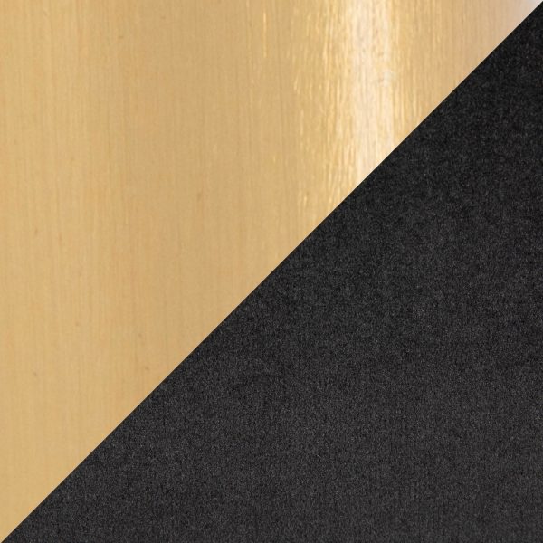 Daniella Gold and Black Velvet Contemporary Dining Chairs Set of 2 8