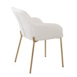 Daniella Gold and Cream Contemporary Dining Chairs (Set of 2)