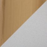 Daniella Gold and Cream Contemporary Dining Chairs (Set of 2)