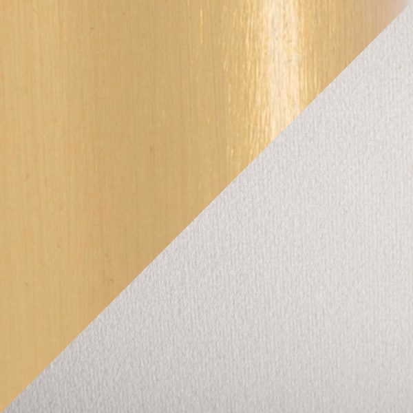Daniella Gold and Cream Velvet Contemporary Dining Chairs Set of 2 8
