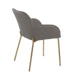 Daniella Gold and Grey Contemporary Dining Chairs (Set of 2)