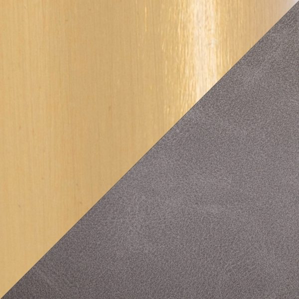 Daniella Gold and Grey Contemporary Dining Chairs Set of 2 8