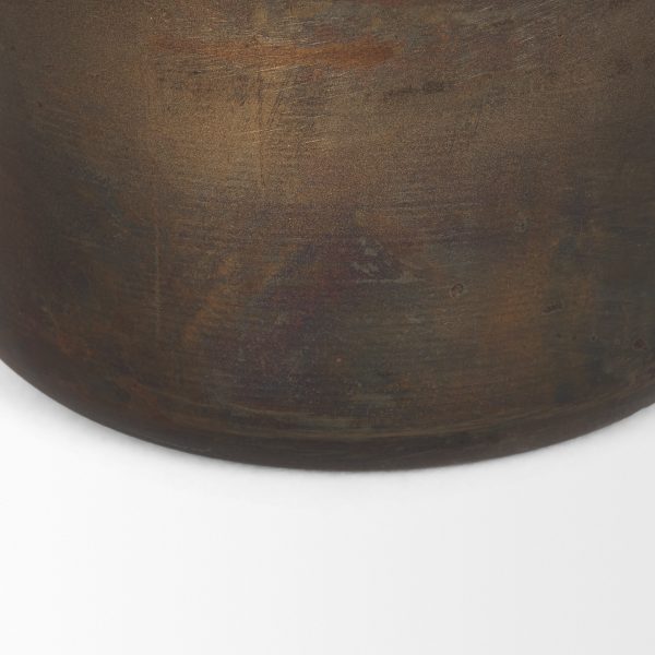 Daya Medium Antiqued Gold Metal Vase 6