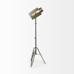 Debdou (61"H) Gold Metal Adjustable Cinema-Style Floor Lamp