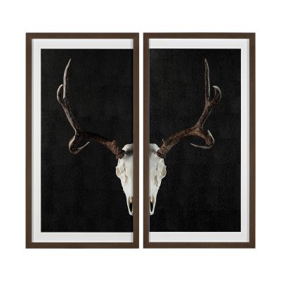 Deer Skull-L by Chris Dunker a Hand Embelished Textured Framed Art Print Matted under Glass