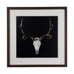 Deer Skull by Chris Dunker a Hand Embelished Textured Framed Art Print Matted under Glass 7 Deer Skull by Chris Dunker a Hand Embelished Textured Framed Art Print Matted under Glass