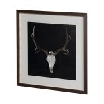 Deer Skull by Chris Dunker a Hand Embelished Textured Framed Art Print Matted under Glass 9 Deer Skull by Chris Dunker a Hand Embelished Textured Framed Art Print Matted under Glass