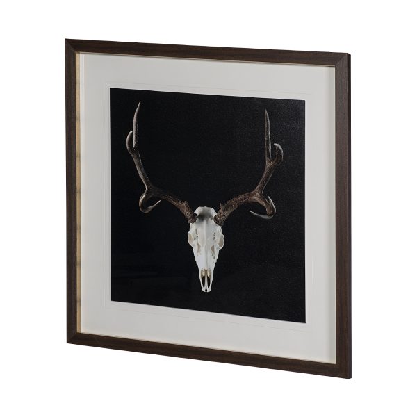 Deer Skull by Chris Dunker a Hand Embelished Textured Framed Art Print Matted under Glass 2