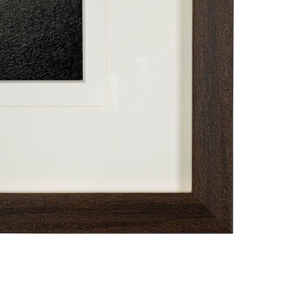 Deer Skull by Chris Dunker a Hand Embelished Textured Framed Art Print Matted under Glass 3