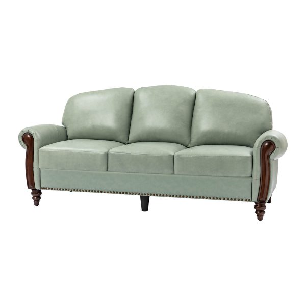 Dietmar Sage Genuine Leather Nailhead Trim Traditional Style Sofa 1