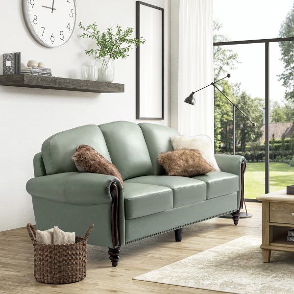 Dietmar Sage Genuine Leather Nailhead Trim Traditional Style Sofa