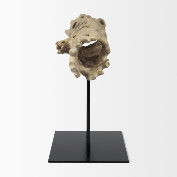 Dwell Cholla Wood Resin Decorative Object 4 1
