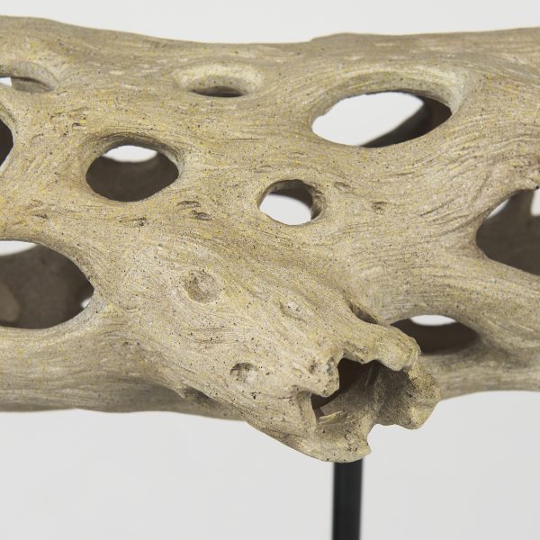 Dwell Cholla Wood Resin Decorative Object 9 1