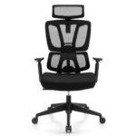 Adjustable Ergonomic Office Chair with Lumbar Support and Headrest 10 Adjustable Ergonomic Office Chair with Lumbar Support and Headrest
