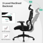 Adjustable Ergonomic Office Chair with Lumbar Support and Headrest 12 Adjustable Ergonomic Office Chair with Lumbar Support and Headrest