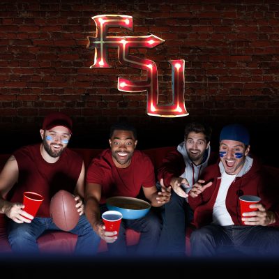 FSU Logo Lighted Recycled Metal Sign