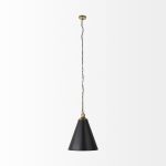Fenton 18.0L x 18.0W x 23.0H Black W/Antiqued Gold Accents Pendant Light