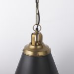 Fenton 18.0L x 18.0W x 23.0H Black W/Antiqued Gold Accents Pendant Light
