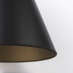 Fenton 18.0L x 18.0W x 23.0H Black W/Antiqued Gold Accents Pendant Light