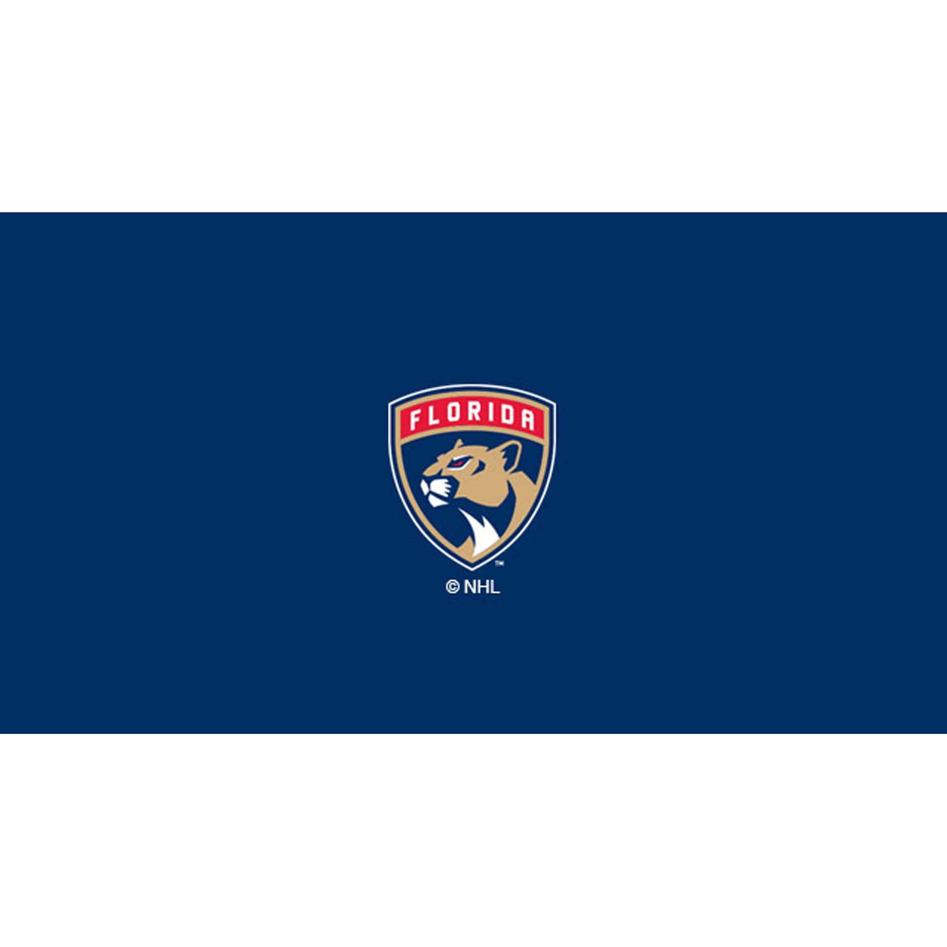 Florida Panthers 8' Billiard Cloth 1 Florida Panthers 8' Billiard Cloth