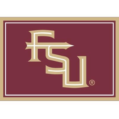 Florida State 3x4 Area Rug