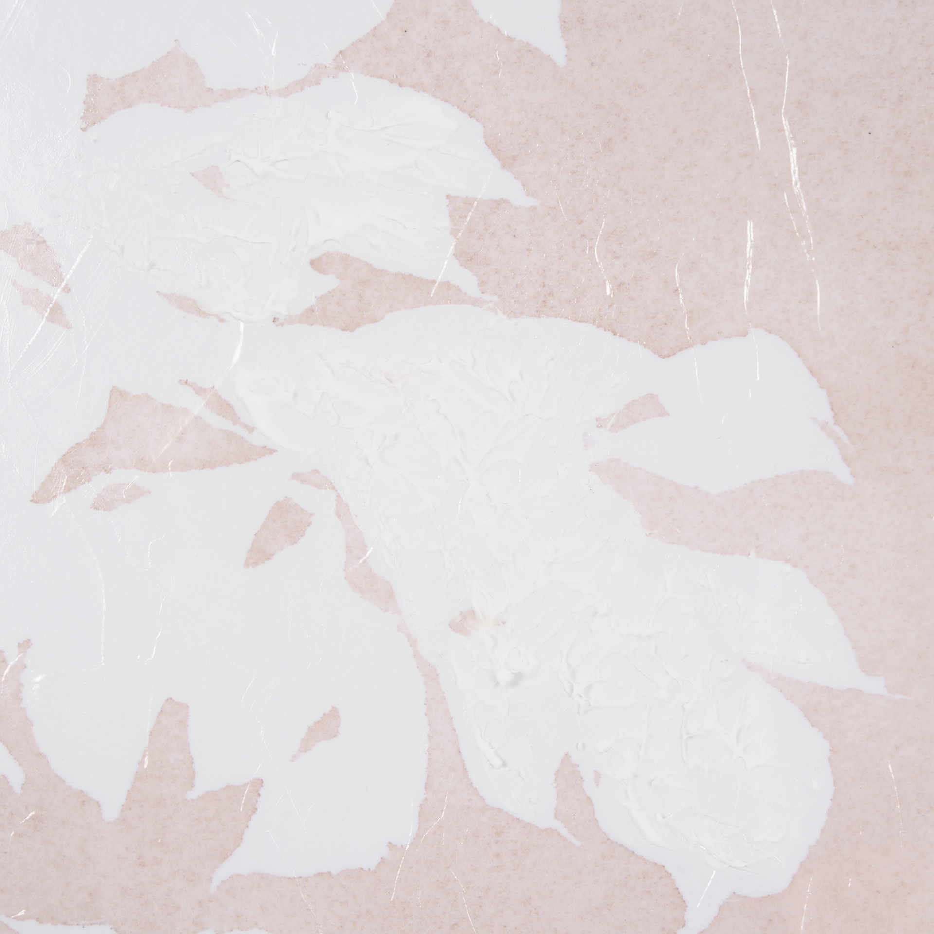 Flower Silhouette-Peony by Mercana Studio Hand Embelished Framed Art Print Matted under Glass 8 Flower Silhouette-Peony by Mercana Studio Hand Embelished Framed Art Print Matted under Glass - Image 8